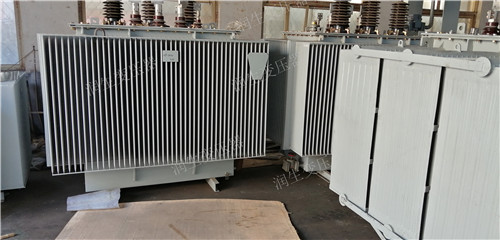 zeda46.jpg